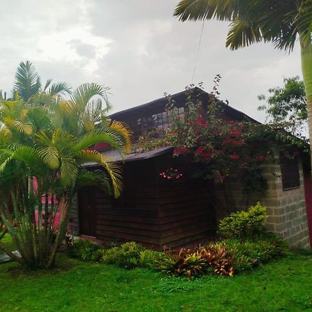 Jardin Utopia Ngoại thất bức ảnh