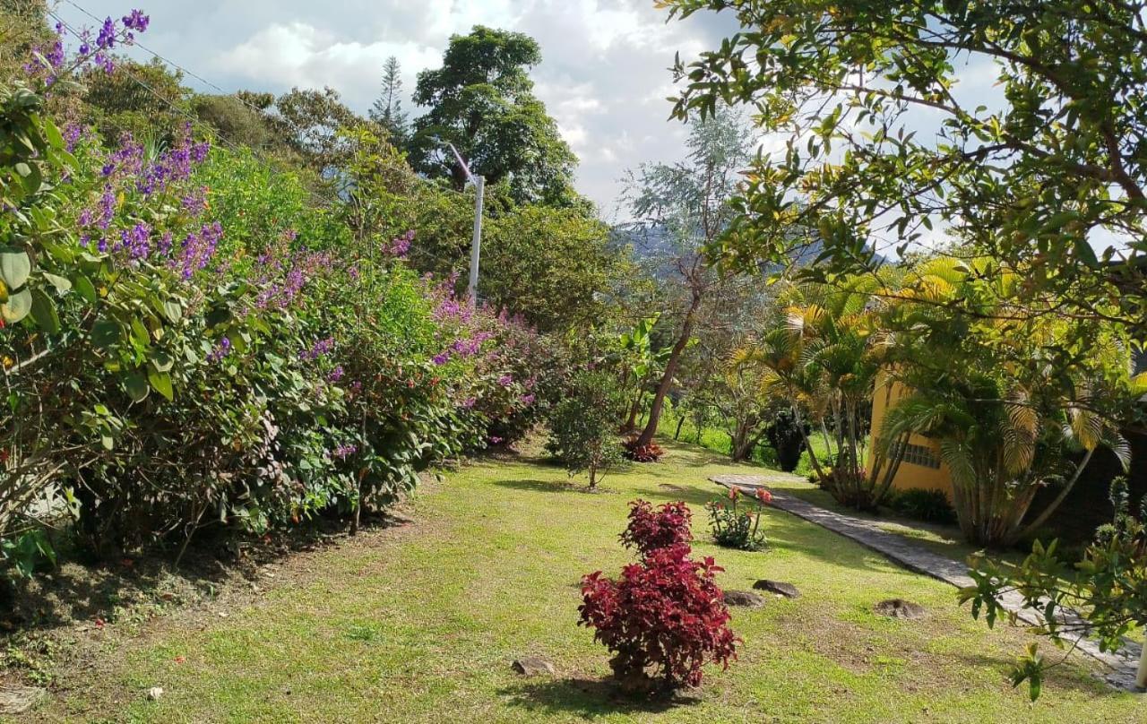 Jardin Utopia Ngoại thất bức ảnh