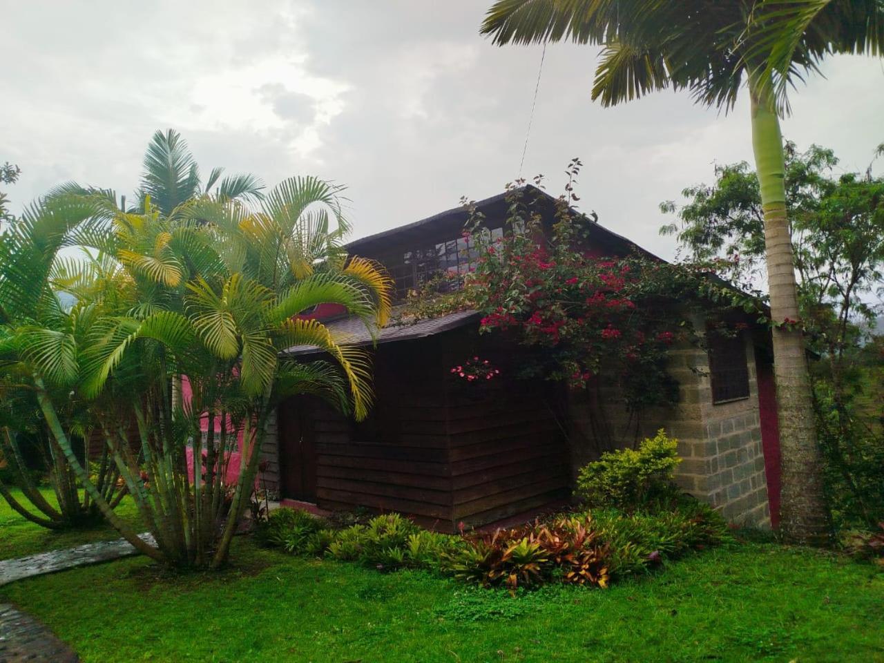 Jardin Utopia Ngoại thất bức ảnh