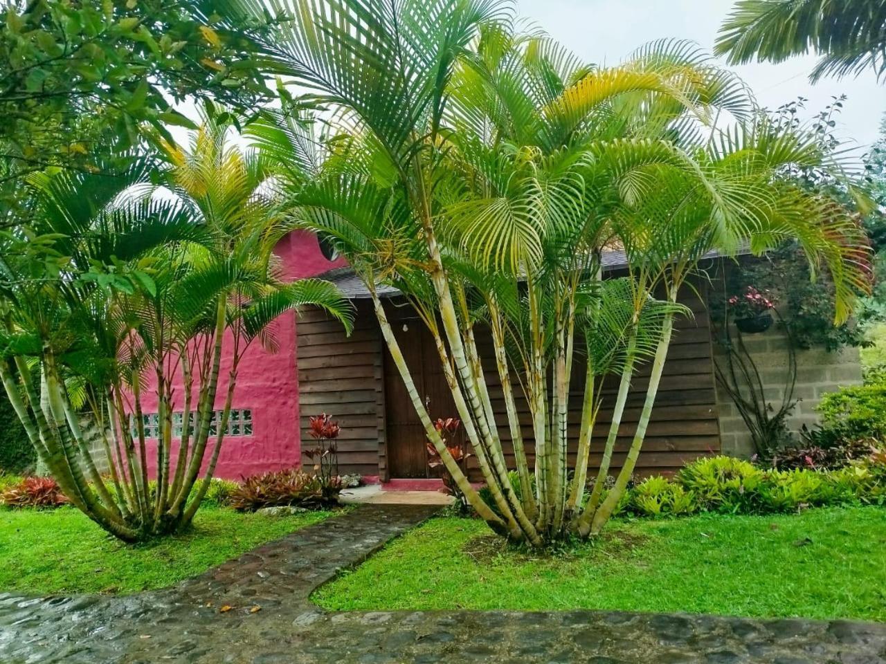 Jardin Utopia Ngoại thất bức ảnh