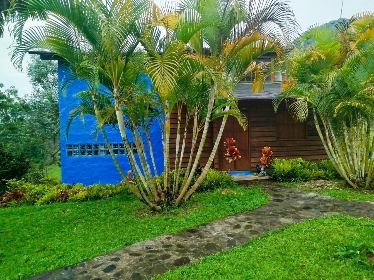 Jardin Utopia Ngoại thất bức ảnh