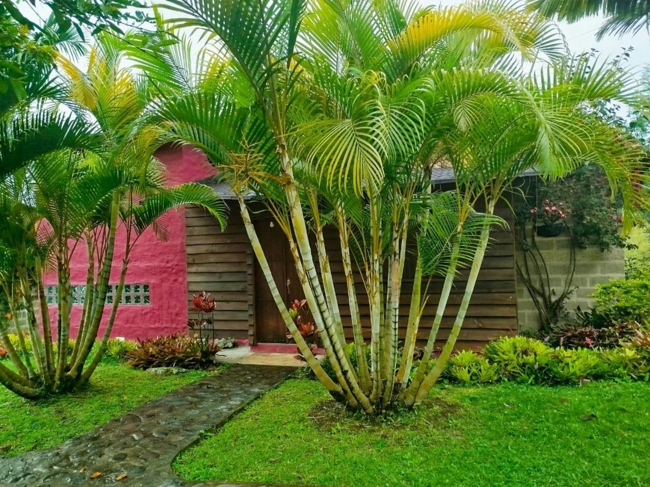Jardin Utopia Ngoại thất bức ảnh