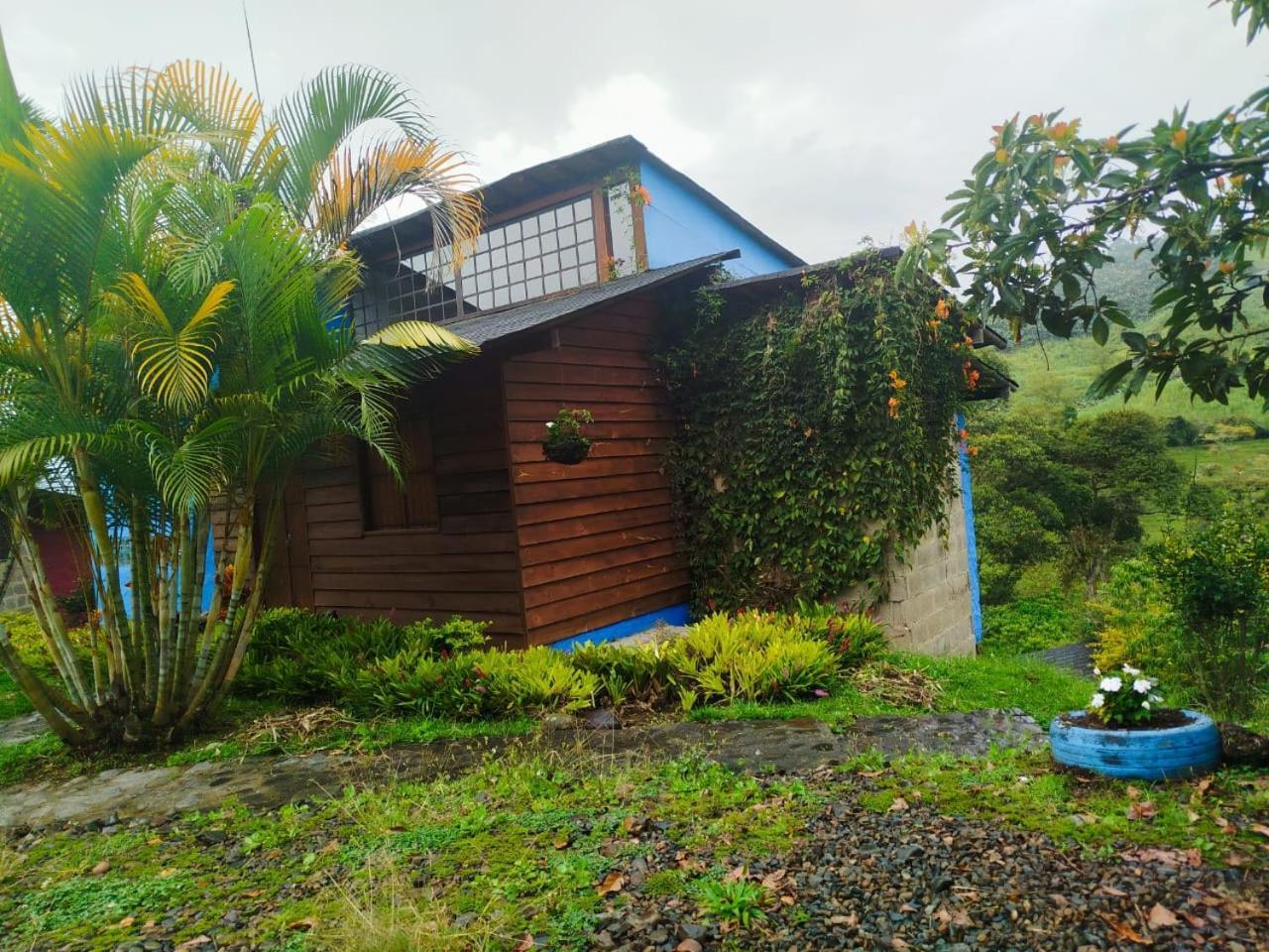 Jardin Utopia Ngoại thất bức ảnh