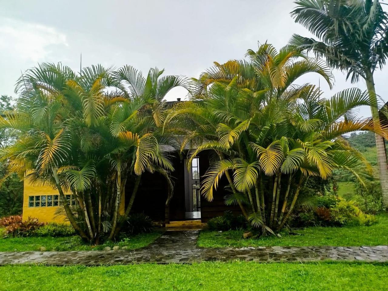 Jardin Utopia Ngoại thất bức ảnh